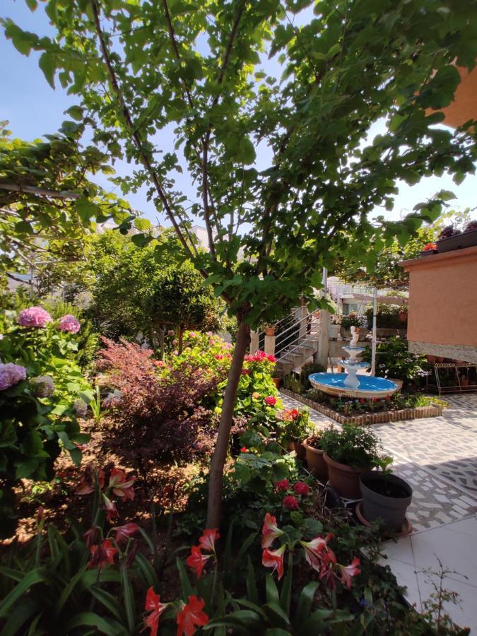 Apartments Baja Улцинь Екстер'єр фото